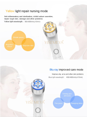 Beauty Personal Care Products 3 in1 RF LED Vibration device Face Beauty Skin Care Face Beauty Equipment
