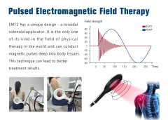 Magnetotherapy Pemf Magnetic Therapy Sports Rehabilitation Device