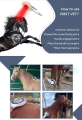 Extracorporeal Magnetotherapy Magnetic Horse Treatment Pemf Physiotherapy Animal Care Machine