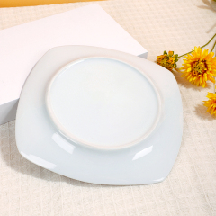 WP-4 Square Series Dinner Plate