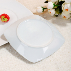 WP-2 Square Series Dinner Plate