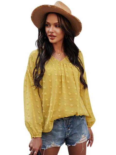 Swiss Dot V Neck Long Sleeve Chiffon Blouse