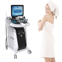 15 in 1 Hydramaster Skin Rejuvenation Facial Machine