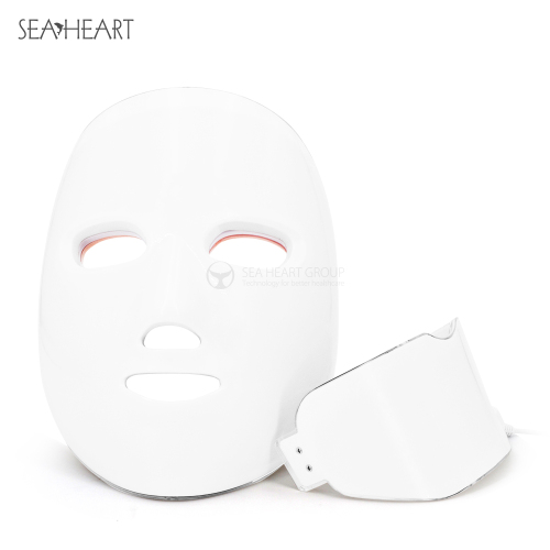 Skin Care Mask