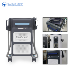 MagiSculpt Neo Muscle Building Slimming Machine