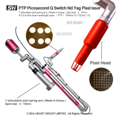 C9 Q-Switched Nd:YAG Laser System