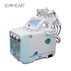 Advanced Beauty Equipment for Facial Rejuvenation - SEA HEART GROUP