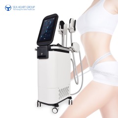 SM-18 HI-EMT RF Muscle Build Fat Burning Body Contouring Machine