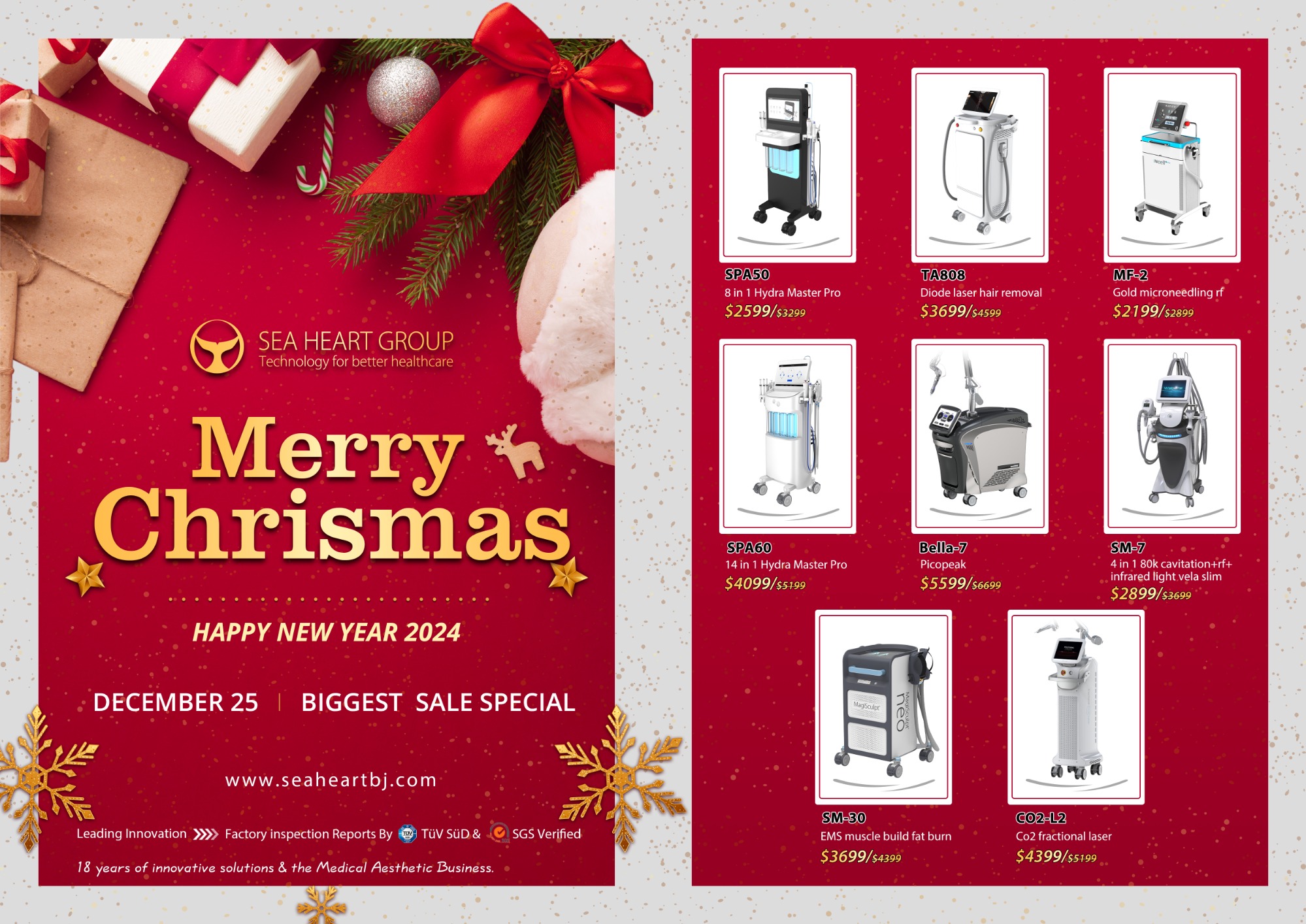 Beauty devices Christmas sale