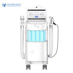 Multifunctional Hydra Dermabrasion Machine Professional Hydramaster