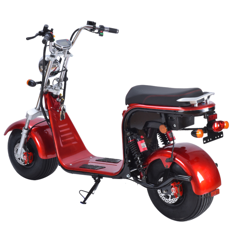 EEC COC seev citycoco 1500W 2000w 3000w electric scooter with fat bike tire HR8-2