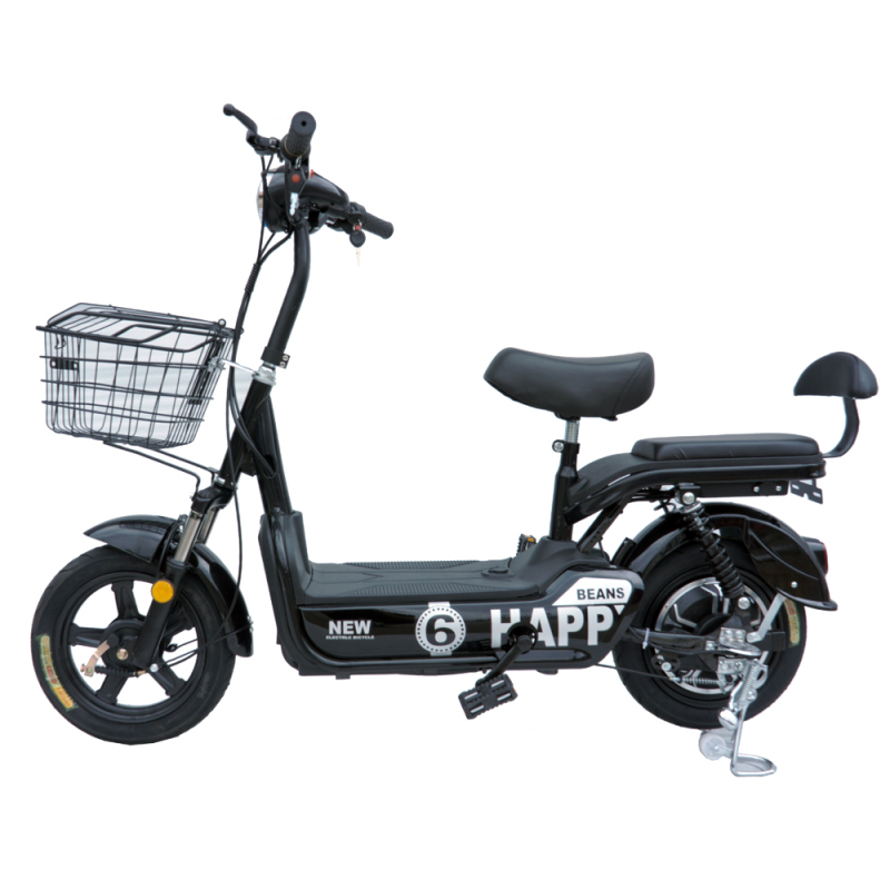 350W/450W 2seat electric bike removable battery MB3