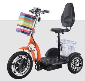 350w USA/Europe market hot sell 3 wheel electric scooters QS1