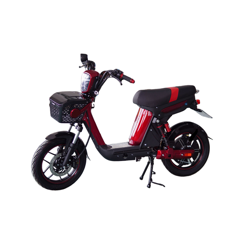 800w 35Ah Ebike Electric Bike City Fat Tire Bike Bicycle Adult With Big Seat Lithium Battery MX10