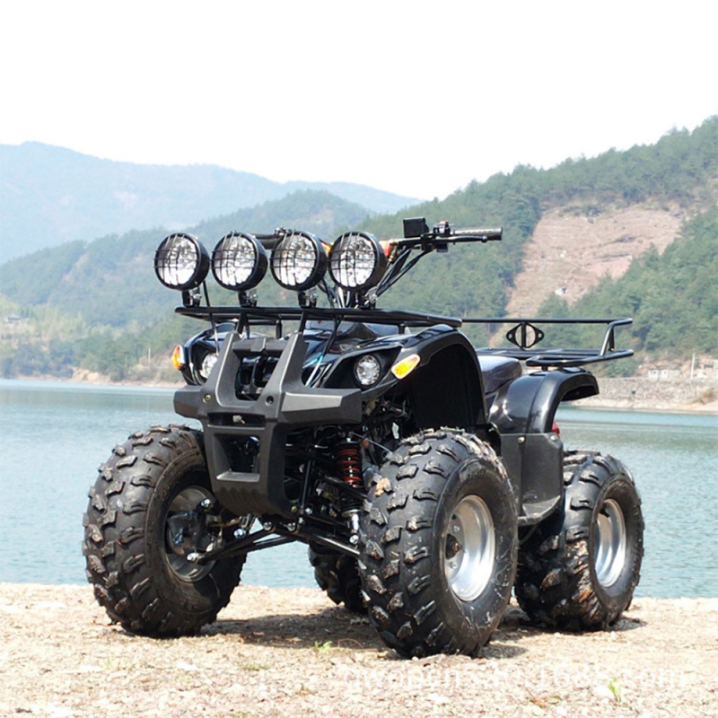 ATV Quad Bike Gasoline 125cc Differential Shaft Drive All Terrain Vehicle for Adult Cost-Effective 01