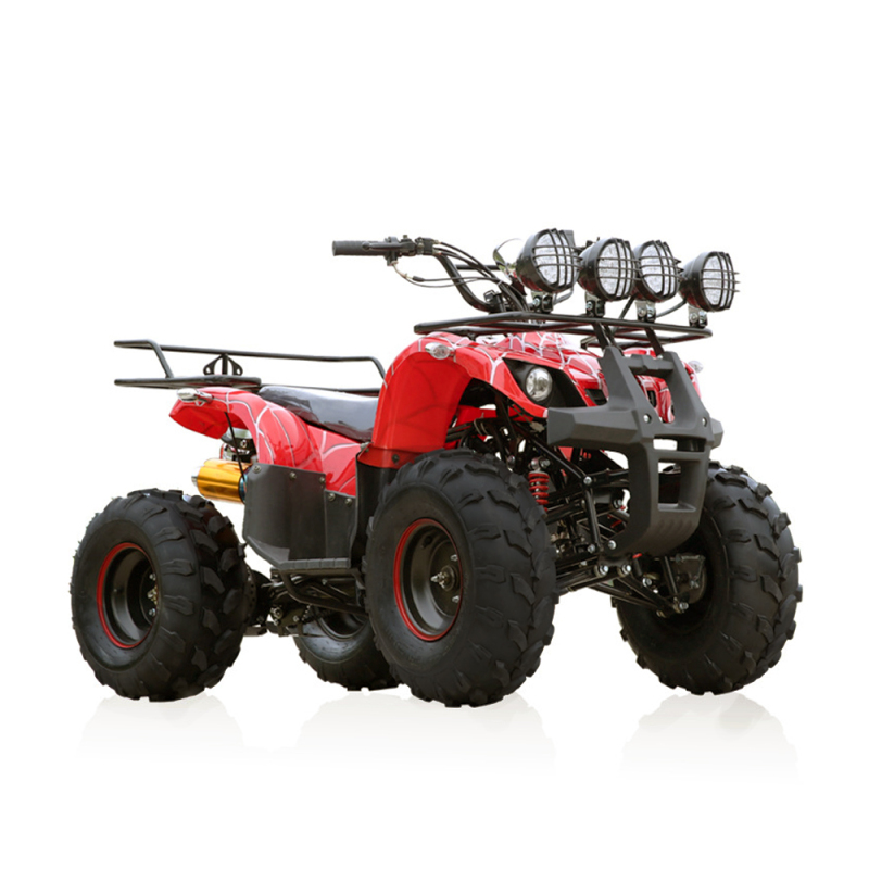ATV Quad Bike Gasoline 125cc Differential Shaft Drive All Terrain Vehicle for Adult Cost-Effective 01
