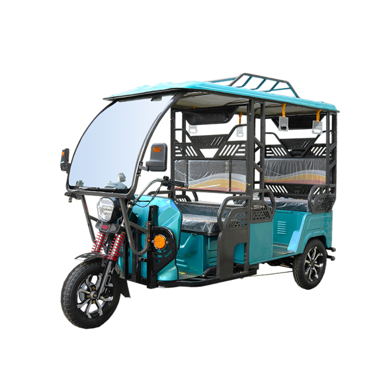 3 Wheel Electric Tricycle Trike with Passenger Seat 100Ah Long Range