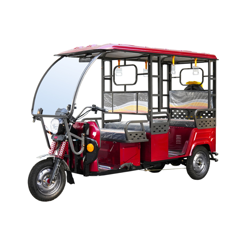 3 Wheel Electric Tricycle Trike with Passenger Seat 100Ah Long Range