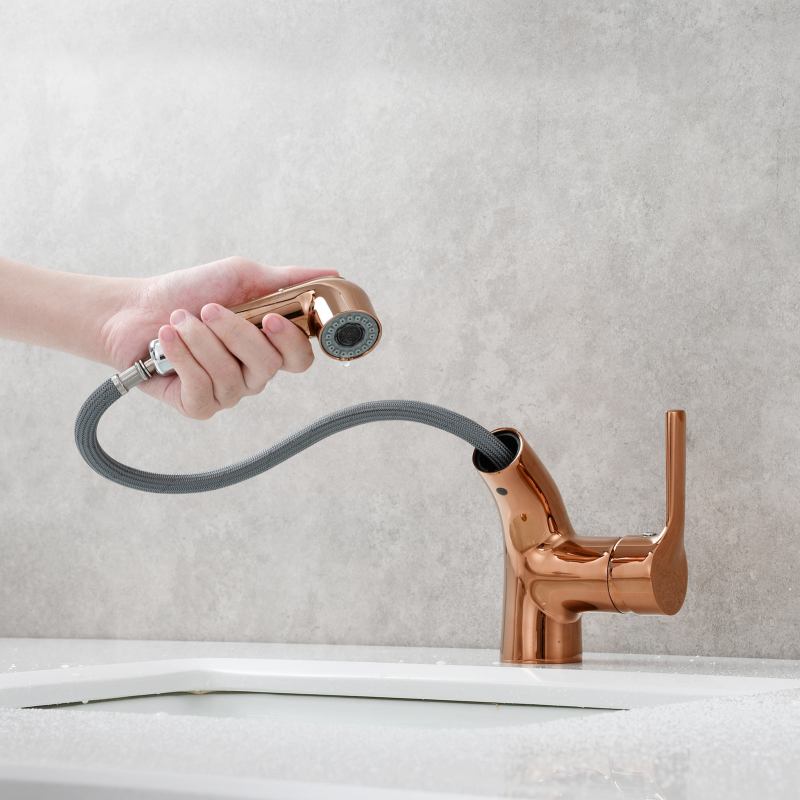 Tecmolog Brass Pull Out Faucet Basin Faucet Hot And Cold Water Faucet Bathroom Mixer Tap Single Handle,BC6232