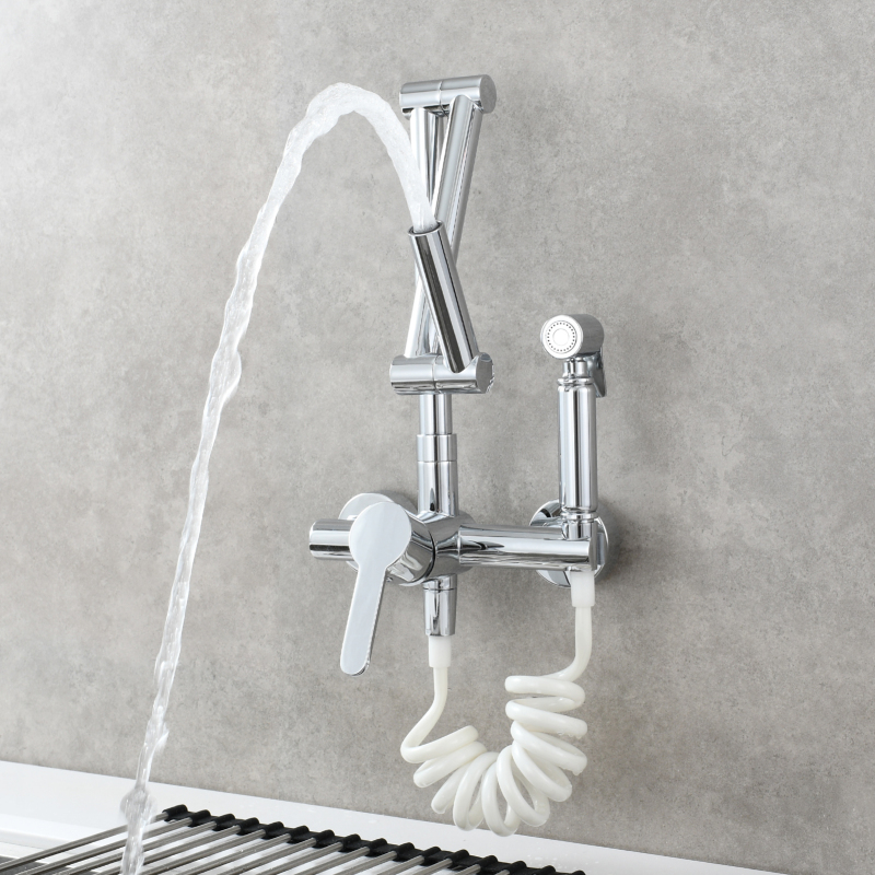 Tecmolog Brass Kitchen Faucet Hot ang Cold Folding Wall Mounted Tap with Bidet Sprayer and Shower Hose