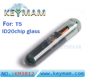 IDT5 chip glass