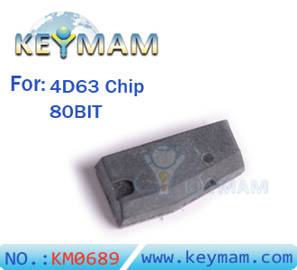 Ford Mazda 4D63 chip