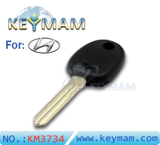 Hyundai key shell ( with left keyblade)