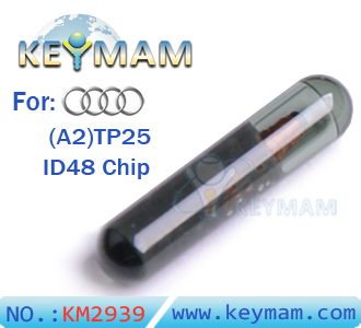 AUDI（A2）TP25 ID48 Chip glass
