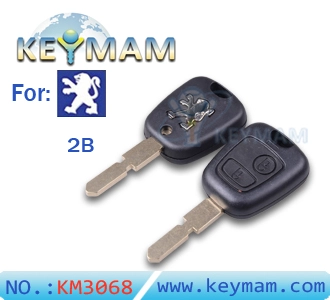 Peugeot406  2 button remote key shell