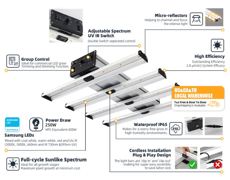 Win250 4 Bars 250W Horticulture LED Grow Light