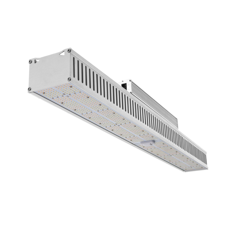 MaxPar MP600 New Greenhouse Supplemental Led Top Light High Ppfd 600W Lm301H Full Spectrum Slim Horticulture Grow Light Led Bar