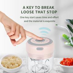 100/250ML Mini Electric Garlic Chopper USB Charging Ginger Masher Machine