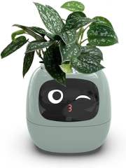 Smart Flowerpots Smart Pet Planter Ai Planter Intelligent Flowerpots Multiple Expressions 7 Smart Sensors and Ai Chips Make Raising Plants