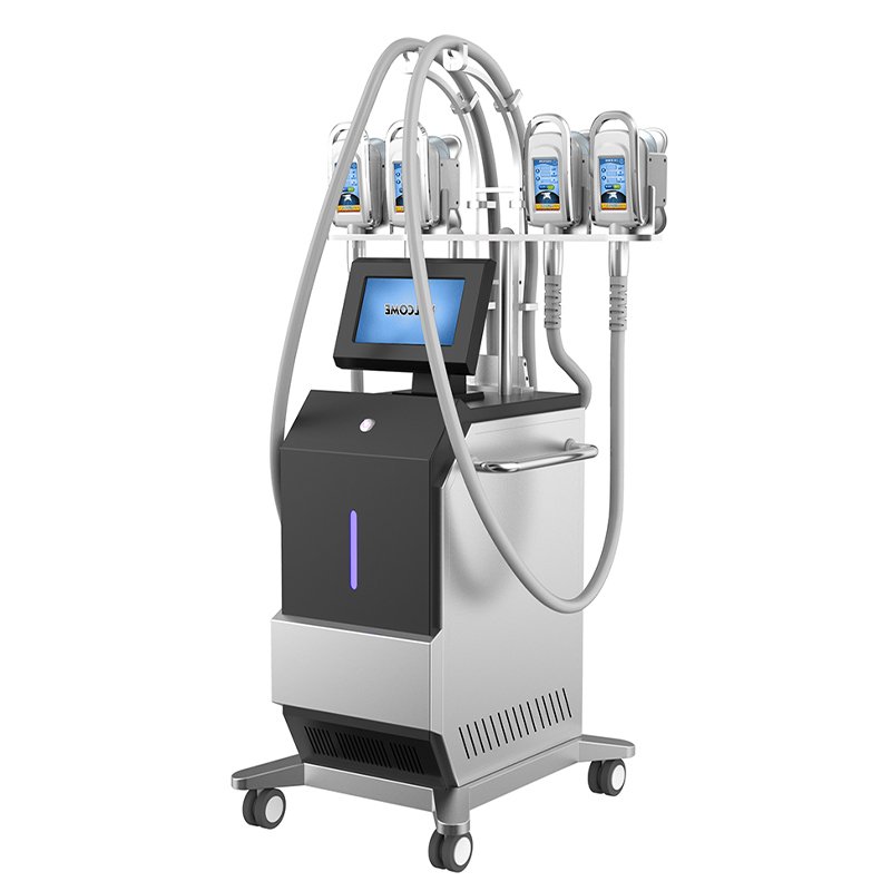 Newest 5 Treatment Handles Cryolipolyse Slimming Fat Reduction Machine