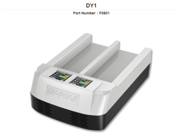 EV-Peak DY1 Typhoon Q500 Battery Charger*