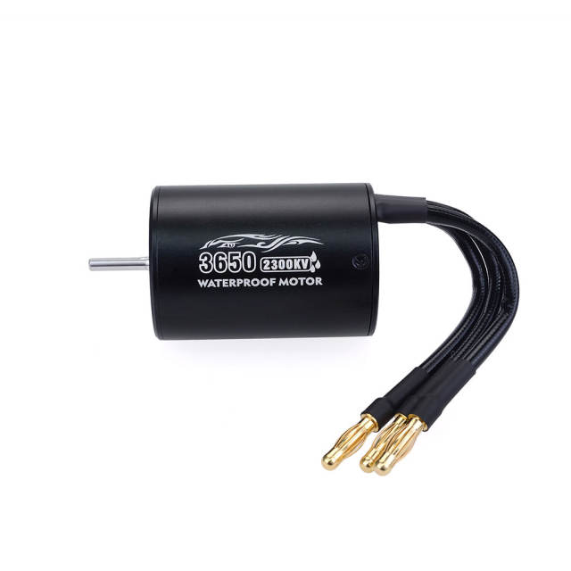 Surpass - 3650 4 Pole Water Proof Brushless Motor