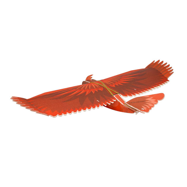 Dancing Wings - E34 1170mm Northern Cardinal