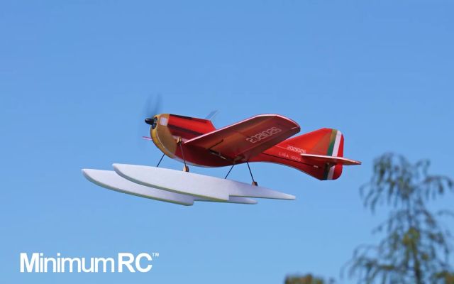 Minimum RC 320mm wingspan LISA