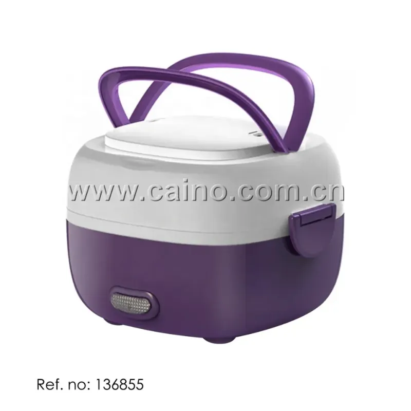 Portable Electric Cooker and Food Warmer