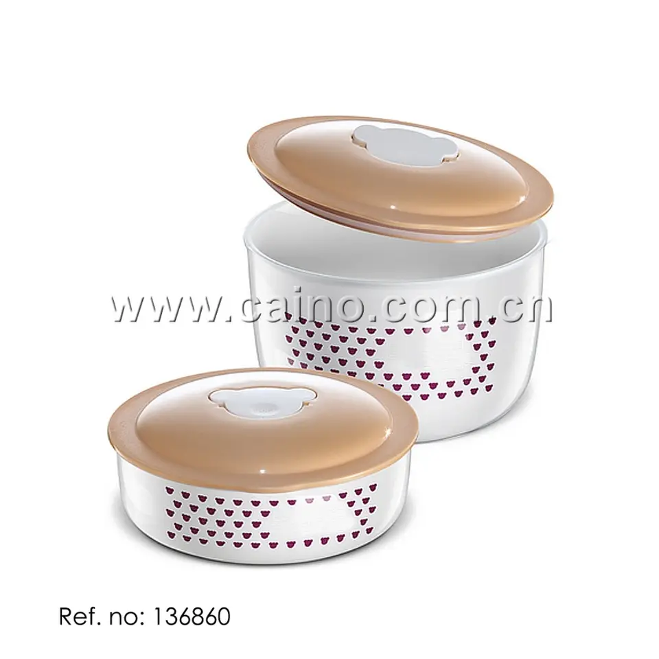 Portable Electric Cooker and Food Warmer