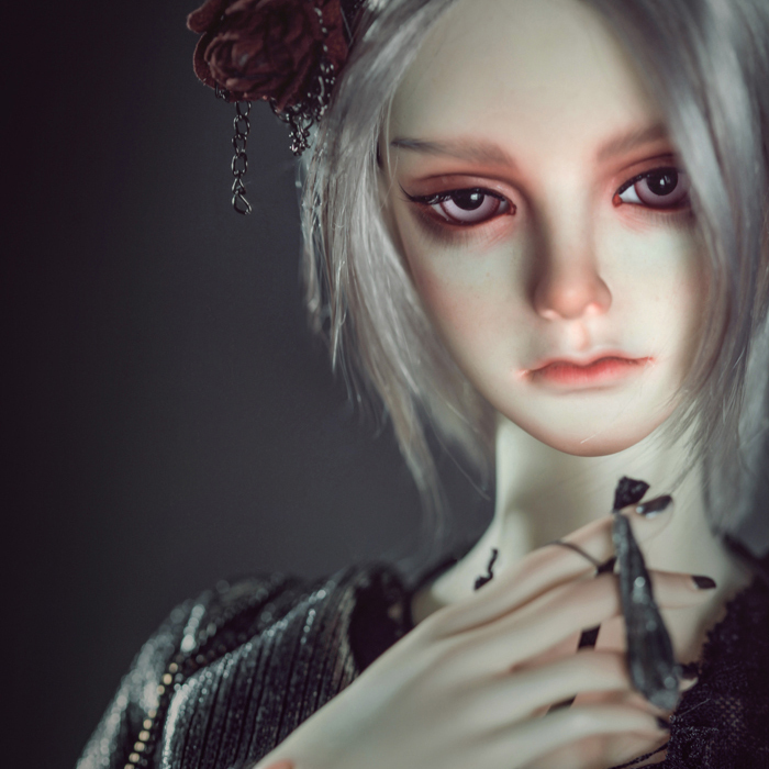 【Discontinued display】Mandrake