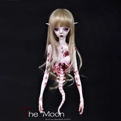 【Discontinued display】The moon