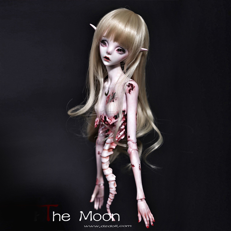 【Discontinued display】The moon