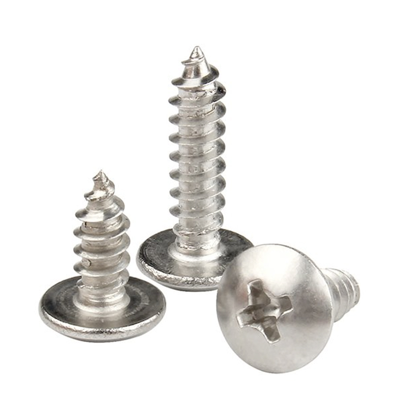 Self Tapping Screw