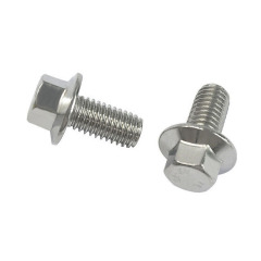 Flanged Bolt Stainless Steel