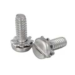 Stainless Steel Pan Head Slooted SEMS Screw With External Tooth Washer