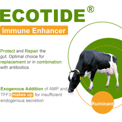 Ecotide (Ruminant)