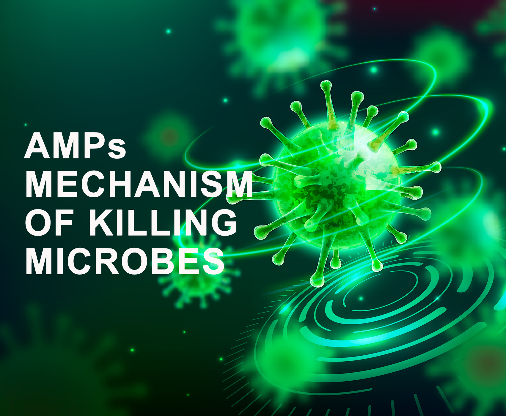 AMPs Mechanism of Killing Microbes
