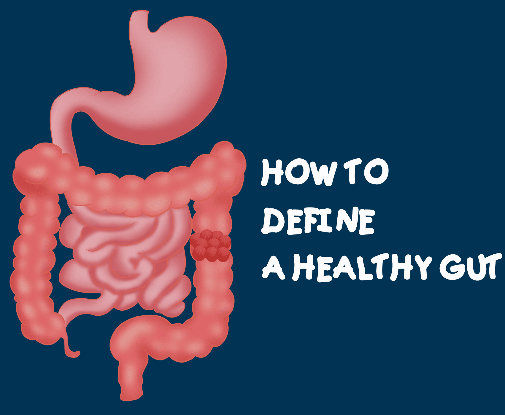 How to Define a Healthy Gut