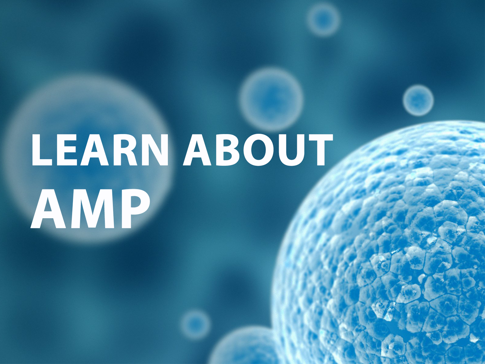 Learn about Antimicrobial Peptides (AMPs)